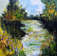Pond in my countryside