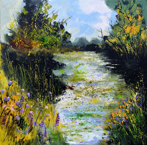 Pond in meiner Landschaft von pol ledent