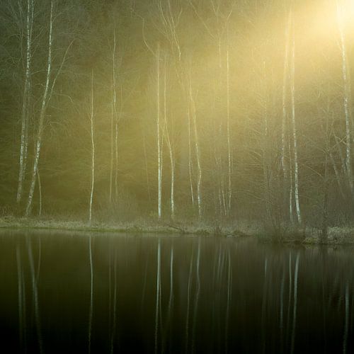 Les derniers rayons de soleil de la journée