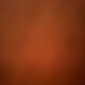 Bjarne Van ginneken Profilfoto