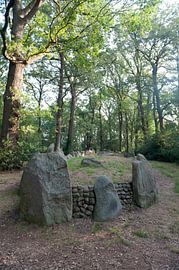 Hunebed D43 Langgrab. von Richard Wareham