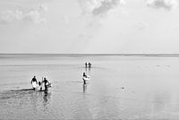 Paddle surfers