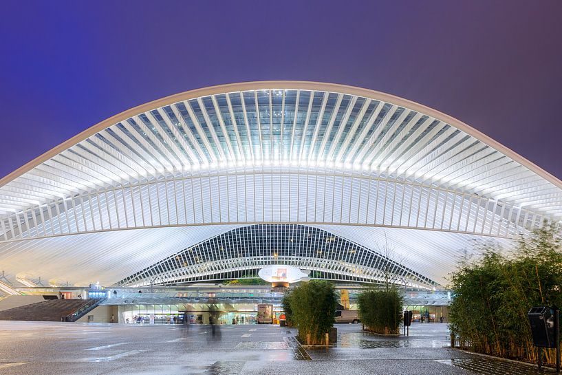 Station Liege-Guillemins blauwe uur von Dennis van de Water