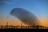 Wonder of nature II van Chris Biesheuvel I  Dream Scapes thumbnail