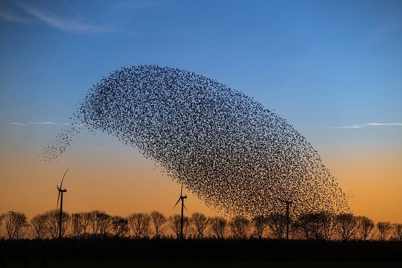 Wonder of nature II van Chris Biesheuvel I  Dream Scapes