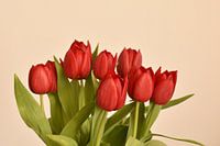 Een boeket van rode tulpen