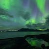 Aurora Borealis bij zonsopgang boven de Sørfolda Fjord, Bodø van Jiri Viehmann