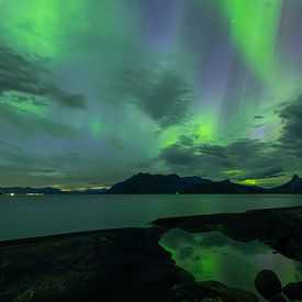 Aurora Borealis at dawn over the Sørfolda Fjord, Bodø by Jiri Viehmann