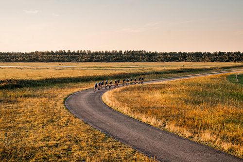 Wielrenners op Kronkelweg in Gouden Avondlicht