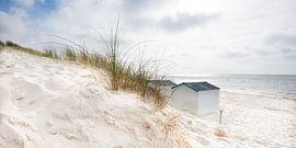 Entree van Hannes Cmarits