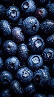 Fresh Blueberries