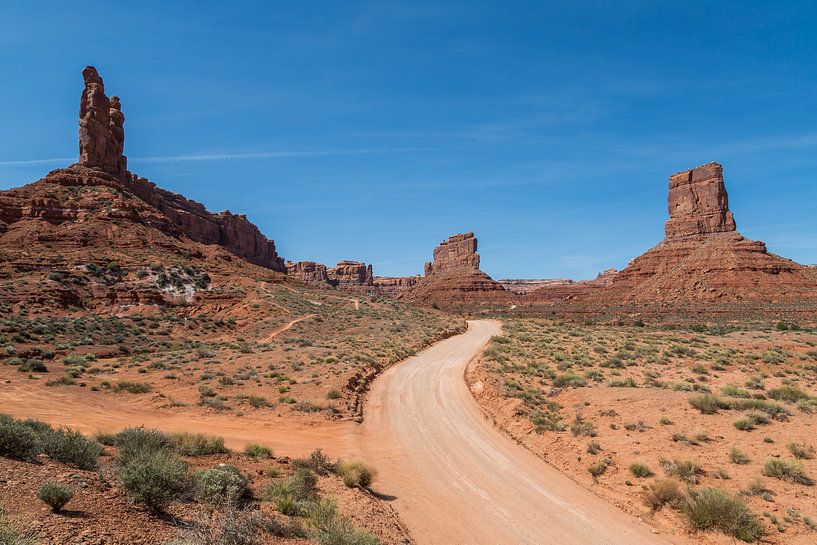 Valley of the Gods, Utah by Peter Leenen