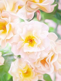 Beautiful rose with yellow heart by Gys & Lucy