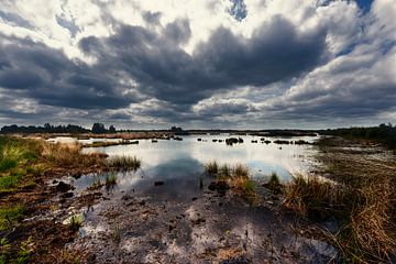 Het Drentse Landschap, Fochteloërveen van Mark de Weger