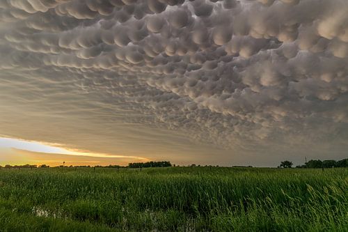Mammatus nuages sur le Nebraska