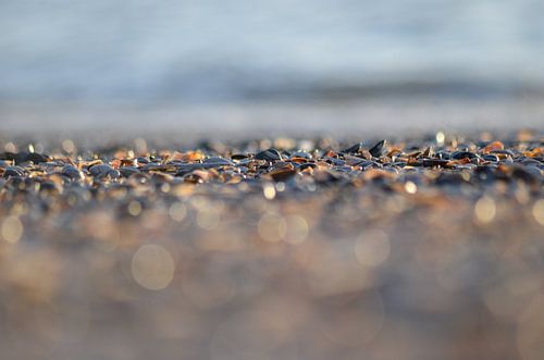 Schelpenstrand