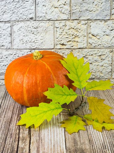 Stilleven met pompoen en eikenbladeren
