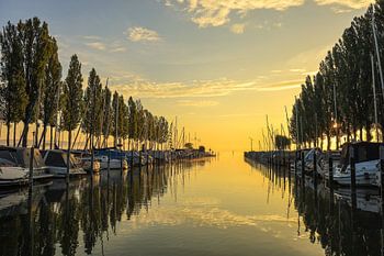 Morgens im Jachthafen von Moos - Halbinsel Höri