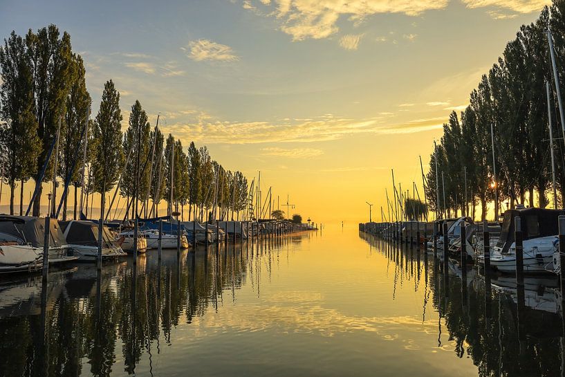 Le matin au port de plaisance de Moos - presqu'île de Höri par BlattArt - Christine Horn