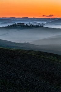 De Toscaanse heuvels in de mist sur Roy Poots