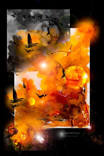 METAMORPHOSIS: A MIDWINTERNIGHTS DREAM