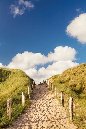 Sylt, way through dunes
