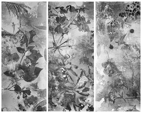 Simply Black . Drieluik in Zwartwit