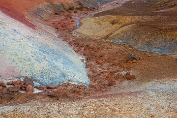 Seltun von Sven-Erik Arndt