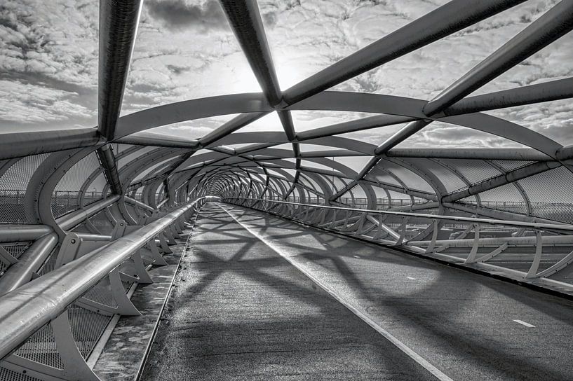 Bicycle bridge De Netkous in Rotterdam in black and white by W J Kok