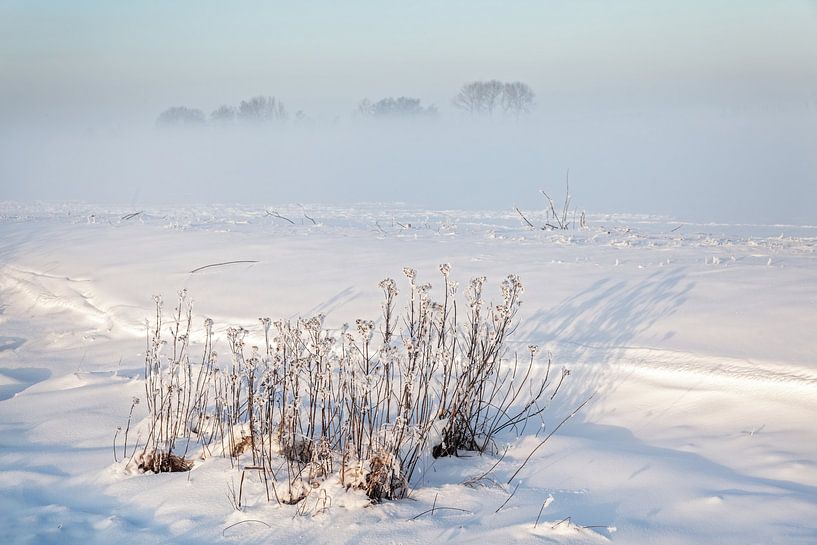 Winter in de Alblasserwaard van Ko Hoogesteger