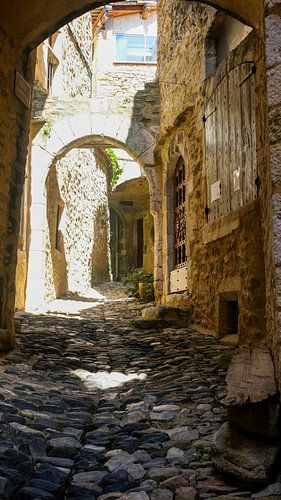 Saint-Montan, die Schlossstadt Frankreichs von Ineke Huizing
