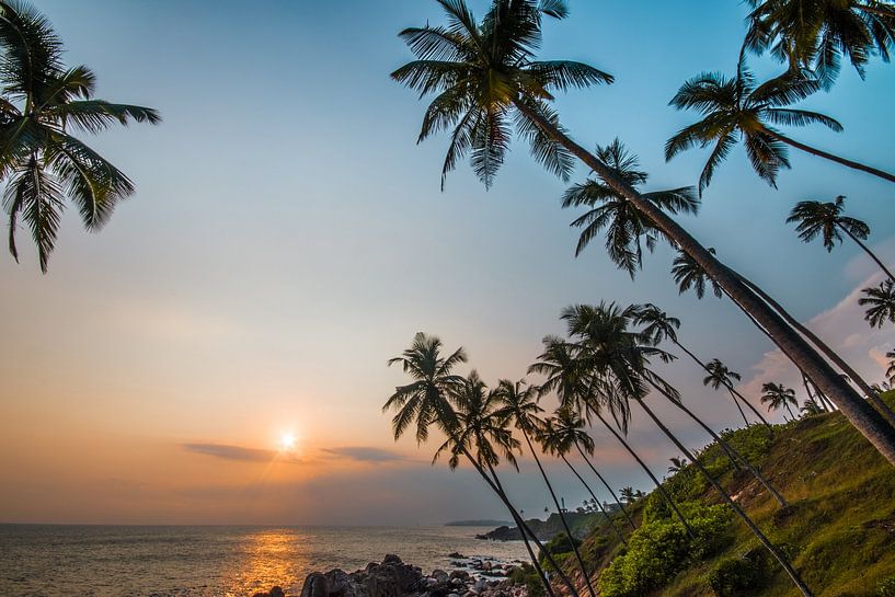 Sri Lanka Sunset by Max Nicolai