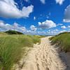 Dünen in den Niederlanden mit Marram-Gras und einer unbefestigten Straße. von Monique Leenaerts