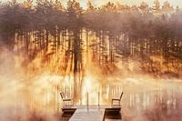 Golden morning mist, Finland