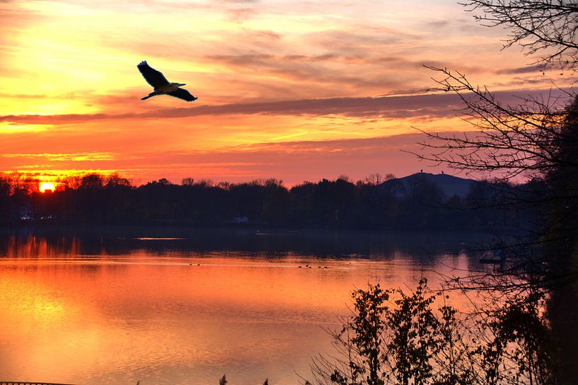 Adenaueralle 11 par Edgar Schermaul