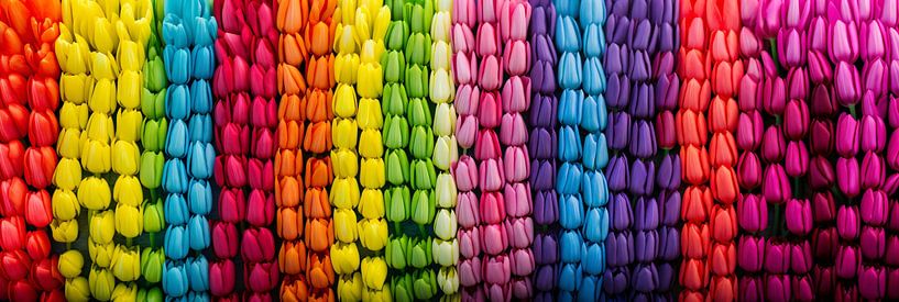 Kleurexplosie: Tulpen Regenboog Panorama by Surreal Media
