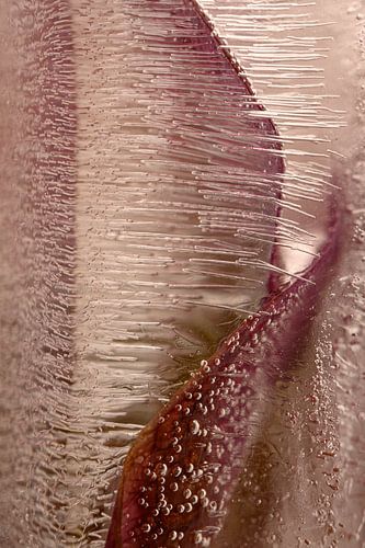 Abstrait naturel : les lignes suivent les formes à la verticale sur Marjolijn van den Berg