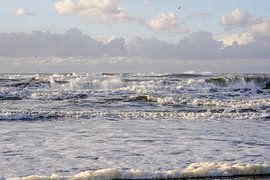Strandleven! von Dirk van Egmond