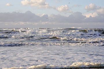 Strandleven! van Dirk van Egmond