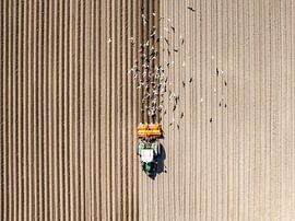 Traktor bei der Bodenbearbeitung von oben gesehen von Sjoerd van der Wal Fotografie