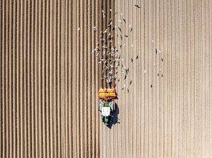 Traktor bei der Bodenbearbeitung von oben gesehen