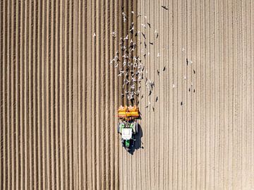 Traktor bei der Bodenbearbeitung von oben gesehen