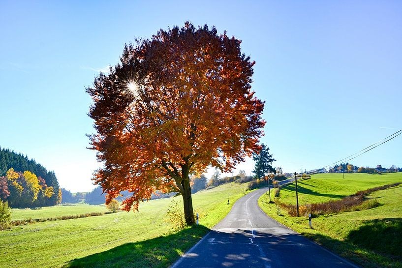 Mützenich, Germany by Jarne Buttiens