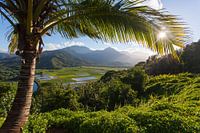 Kauai