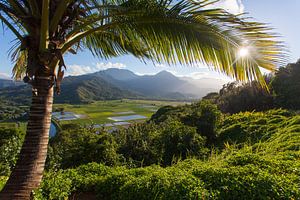 Kauai sur Milene Bezemer