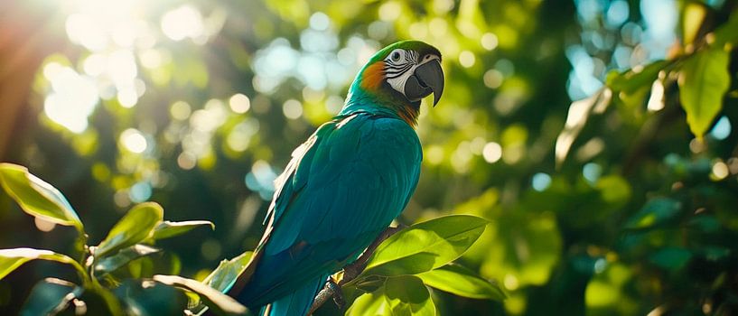 Colourful parrot in the sunlight by Poster Art Shop