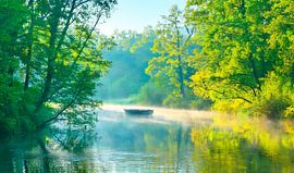 Ochtendmist van Johann Pavelka