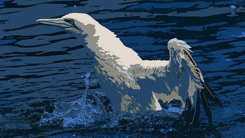 Jan van Gent - Morus Bassanus