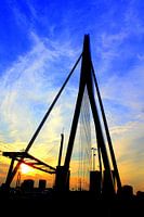 Erasmus' Sunset