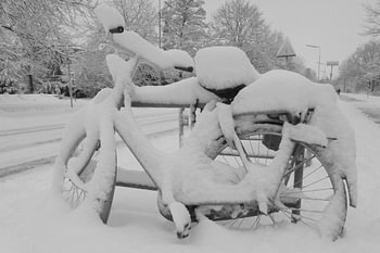 Fiets